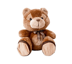 Kids toy Teddy Bear