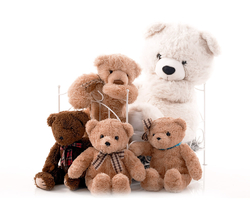 Set of Teddy bears